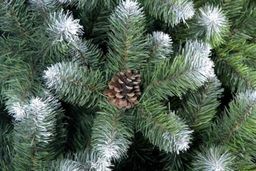 Ель настольная Канадская 0,5 м - Max christmas фото 3