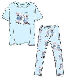 футболка+легинсы 2ДДР5705001н