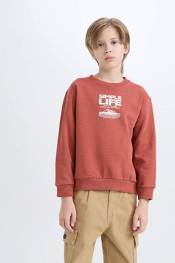 Толстовка обычного кроя с круглым вырезом и принтом на мягкой подкладке для мальчиков - Defacto фото 3