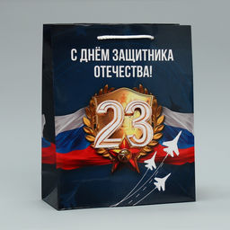 Цена за 2 шт. Пакет подарочный ламинированный, упаковка, «С 23 февраля», ML 21×25×8 см