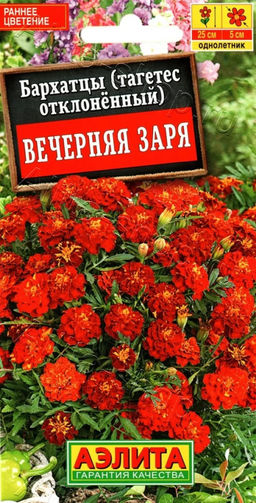 Бархатцы Вечерняя заря отклоненные 0,3г (Аэлита)
