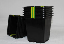 Цена за 6 шт. Набор горшков для рассады 6 шт*0,5л пластик черный