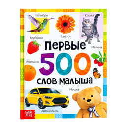 Книга в твёрдом переплёте Первые 500 слов малыша, 80 стр.
