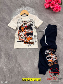 Костюм спортивный двойка