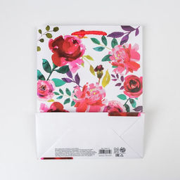 Цена за 2 шт. Пакет подарочный ламинированный, упаковка, Present for you, MS 18?23?8 см