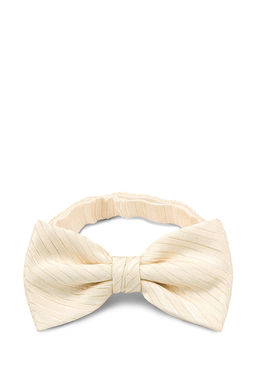 Галстук-бабочка мужской CASINO Casino-poly-wedding 512.1.520