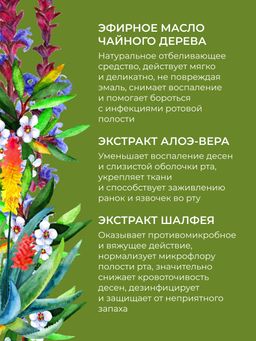 Зубная паста Против кариеса Чайное дерево - Siberina фото 7