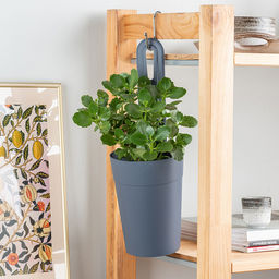 Tarragon Горшок для цветов подвесной пластмассовый 1,3л, д12см, h33,3см, серый (Россия) - Домашняя мода фото 2