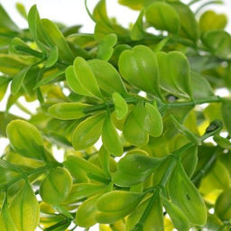 Зелень искусственная 34 см / WH-16 /уп 2/600/ - Галеонтрейд фото 2