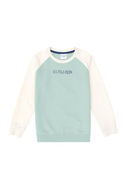 Толстовка водно-зеленого цвета для мальчика Неожиданная скидка в корзине