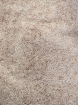 Кеды 2432176 - Belwest фото 6