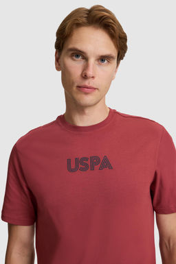 Erkek Vi_ne Regular Fit Bisiklet Yaka Basic Ti__rt