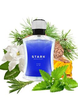 Dilis STARK BRAVERY Туалетная вода для мужчин 100 мл  фото 2