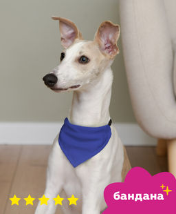 Бандана "Баден", синяя, размер M, ош,26см-46см,арт.бан24М бан24М 11сд22