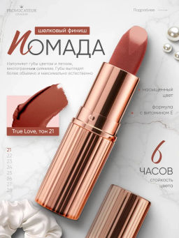 Provocateur Помада Питательная Hollywood сhic 21 розово-бежевый
