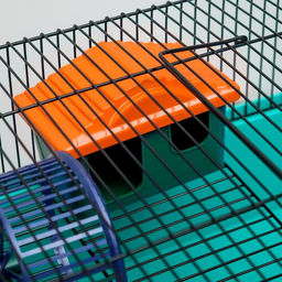 Клетка для грызунов Пижон №4, с этажом, укомплектованная, 37х26х18 см, бирюзовая  фото 7