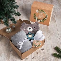 Набор подарочный новогодний «Этель» Merry Christmas: плед и аксессуары