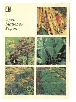 Открытка Хрен.Майоран.Укроп