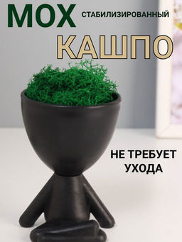 Стабилизированный мох в кашпо пластиковом Мистер Грин йог, 10.57.57.3 см, чёрный