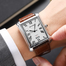 Часы наручные Skmei мужские 2575silver-brown