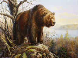 Вышивка крестиком 40х50см, Бурый медведь