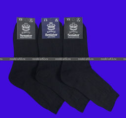 Цена за 10 пар. Сенатор носки мужские А-5 черные 27  фото 3