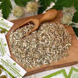 3 шт. Ворсянка щетинистая (золотая колючка), (трава)