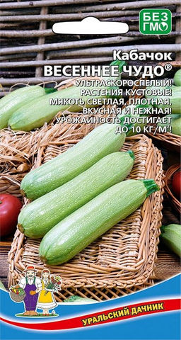 Кабачок ВЕСЕННЕЕ ЧУДО  Ультраскороспелый! Кустовой! Мякоть светлая, плотная, вкусная и нежная! Урожайность до 10 кг/кв.м!