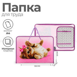Папка для труда, А4, пластиковая, 32.5?23?2.5 см Самая милая