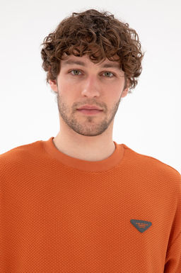 Мужской свитшот цвета корицы Неожиданная скидка в корзине - U.s. polo assn фото 2