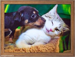 Картина 5D 30х40 059 Щенок и котёнок / ZR8210H-222411 /