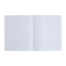 Комплект тетрадей из 4 штук, 96 листов в клетку Calligrata "King's school", обложка мелованный картон, блок офсет