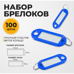 Набор бирок для ключей «Идентификатор», 53 мм, 100 шт., синий