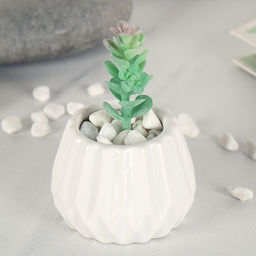 Суккулент искусственный 2,5х9 см / GN113 /уп 100/ - Галеонтрейд фото 2