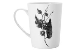 Кружка Коала, 0,45 л - Maxwell & Williams фото 3