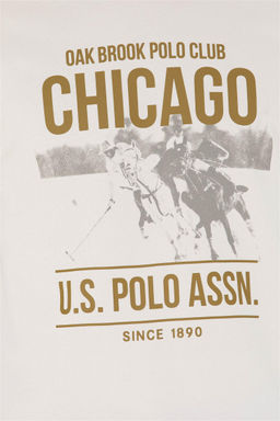 U. S. Polo Assn / Мужская толстовка с камнем - U.s. polo assn фото 14