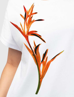 VILATTE / Футболка из премиального хлопка с эластаном  фото 2