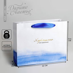 Пакет подарочный ламинированный, упаковка, «Гармонии», 22 х 17.5 х 8 см