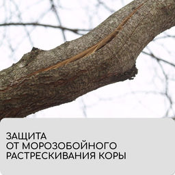 Лента для подвязки растений, 50×0.02 м, плотность 60 г/м², спанбонд с УФ-стабилизатором, белая, Greengo, Эконом 20%