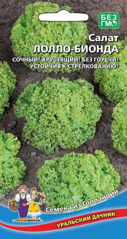 Салат ЛОЛЛО БИОНДА