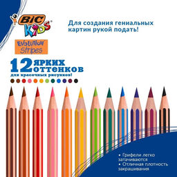 Карандаши цветные 12 цветов, BIC «Kids Evolution Stripes», пластиковые, детские