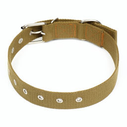 Ошейник брезентовый безразмерный однослойный, 72 х 3,5 см, песочный - Пижон фото 2