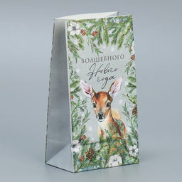 Цена за 10 шт. Пакет подарочный без ручек Волшебного Нового года, 10?19.5?7 см