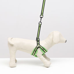 Комплект амуниции светоотражающий с мягкими шлейкой и ручкой, поводок 120 х 1,5 см, ОШ 35-53 см, жёл - Пижон фото 8