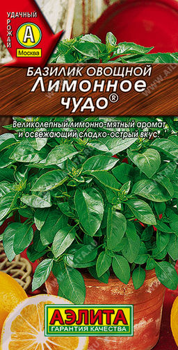 Базилик овощной Лимонное чудо (2029