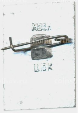 Значок Гусь-Хрустальный