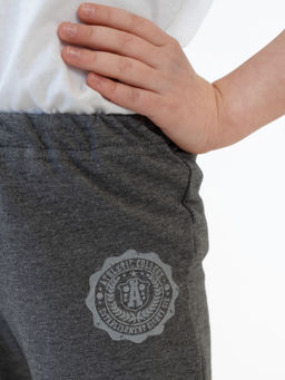 Брюки детские антрацит колледж 446п (110, 60)