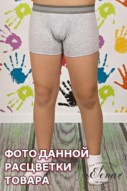 Боксеры. - Елена фото 6