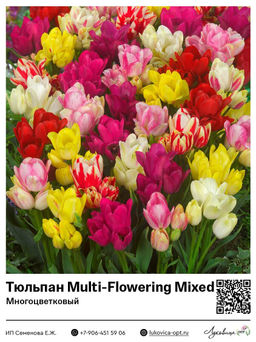 1c3e96ae2b10b25e6f927d78dcb37c423vujt394pqmaqhejw8