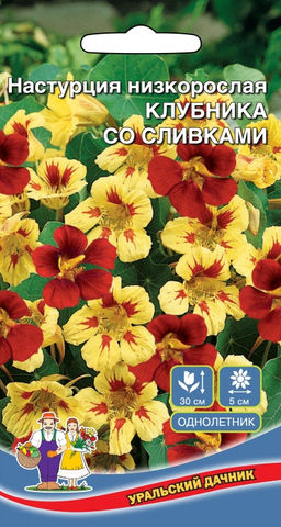 Настурция КЛУБНИКА СО СЛИВКАМИ